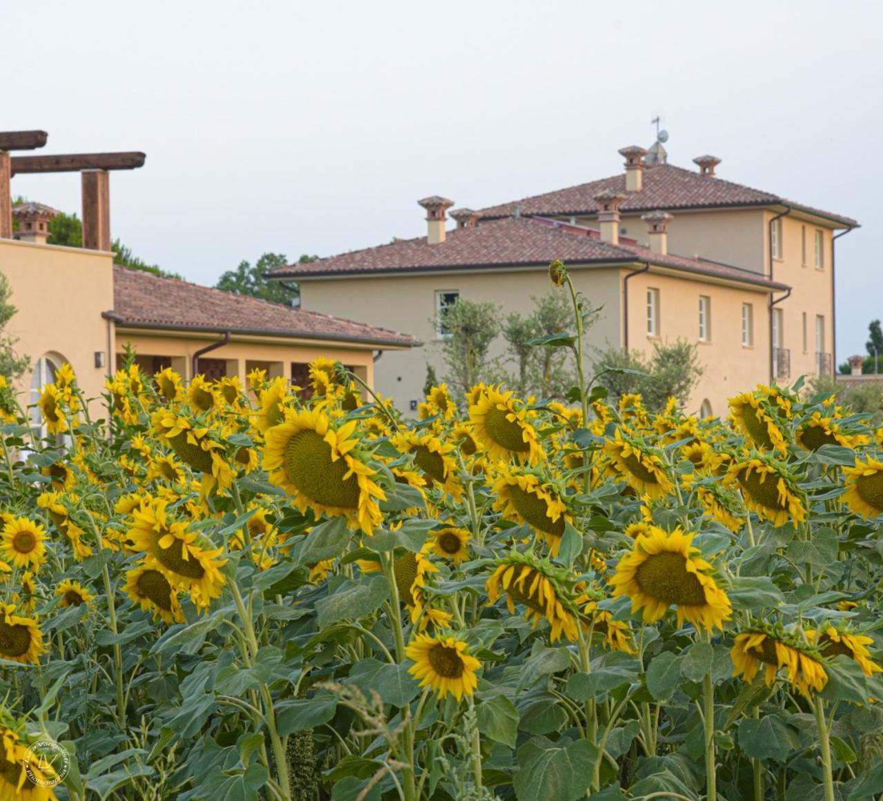 Agriturismo Villa Toscana Campiglia Marittima Exterior foto