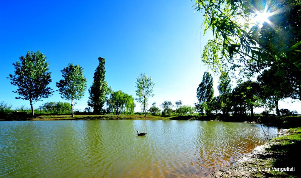 Agriturismo Villa Toscana Campiglia Marittima Exterior foto